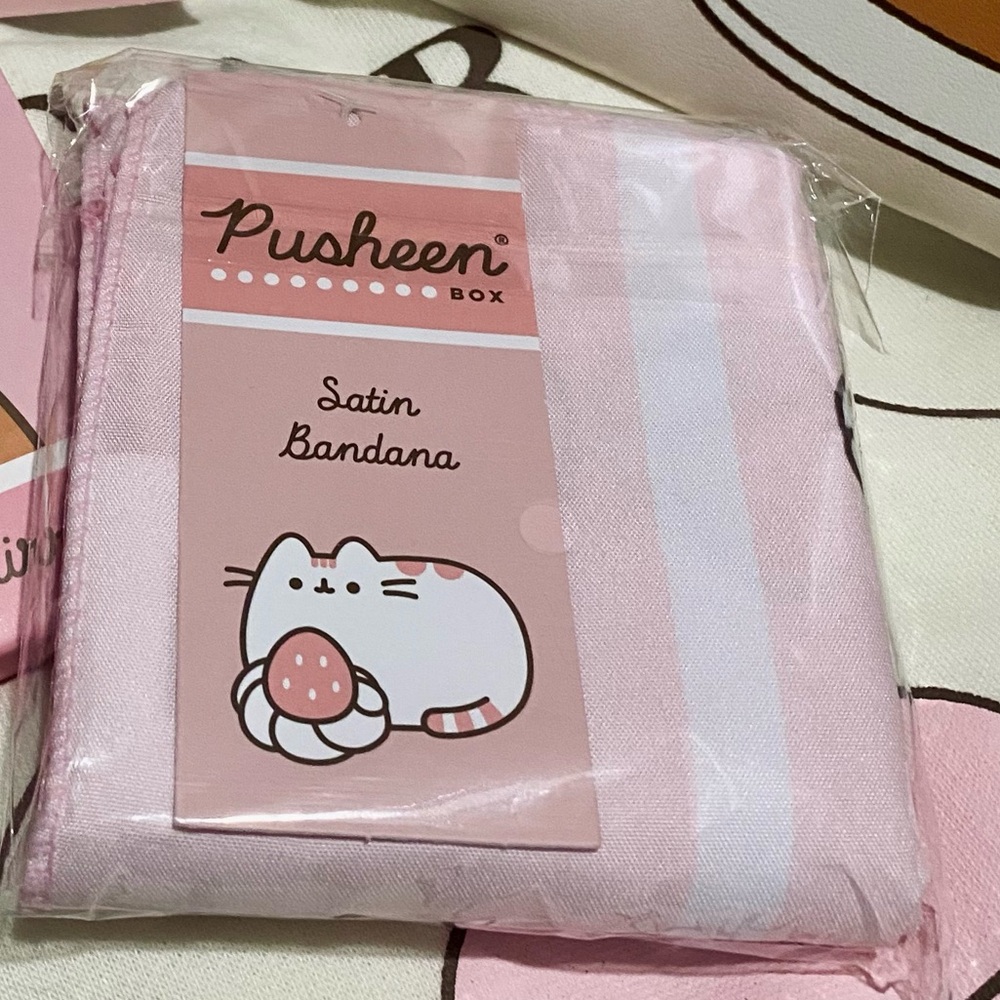 Pusheen Box Summer 2025 Sweet Treats bandana/scarf